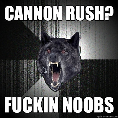 cannon rush? fuckin noobs  Insanity Wolf