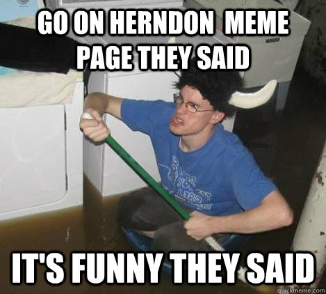 go on Herndon  meme page they said  it's funny they said   They said