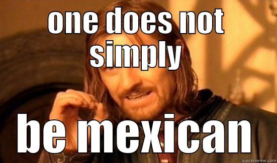 ONE DOES NOT SIMPLY BE MEXICAN Boromir