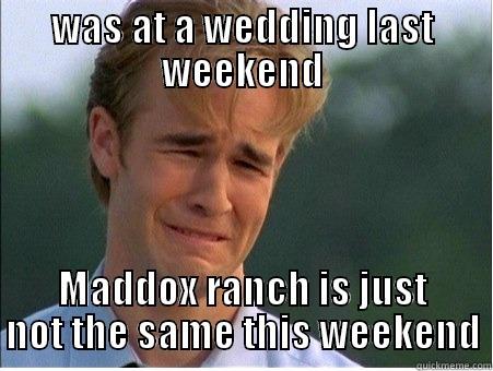 WAS AT A WEDDING LAST WEEKEND MADDOX RANCH IS JUST NOT THE SAME THIS WEEKEND 1990s Problems