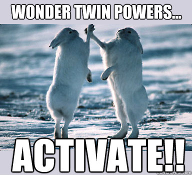 wonder twin powers... ACTIVATE!!  Bunny Bros
