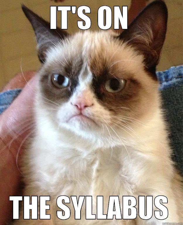 IT'S ON THE SYLLABUS Misc