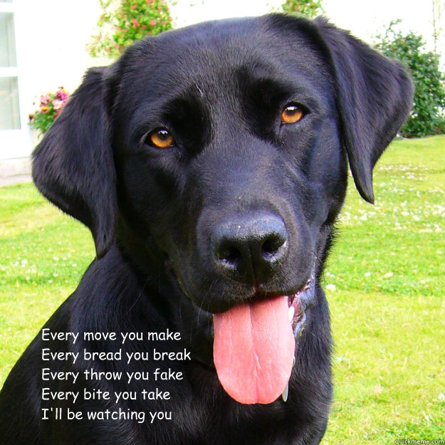  Every move you make
Every bread you break
Every throw you fake
Every bite you take
I'll be watching you

 -  Every move you make
Every bread you break
Every throw you fake
Every bite you take
I'll be watching you

  Watchful Dog