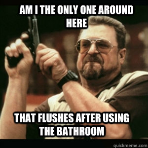am i the only one around here that flushes after using the bathroom  Am I The Only One Round Here
