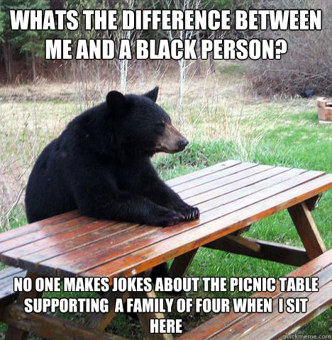 Whats the Difference between me and a black person? No one makes jokes about the picnic table supporting  a family of four when  i sit here  waiting bear