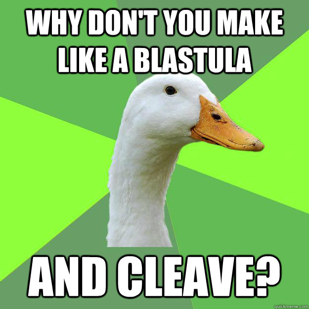 Why don't you make like a blastula and Cleave?  Biology Student Duck
