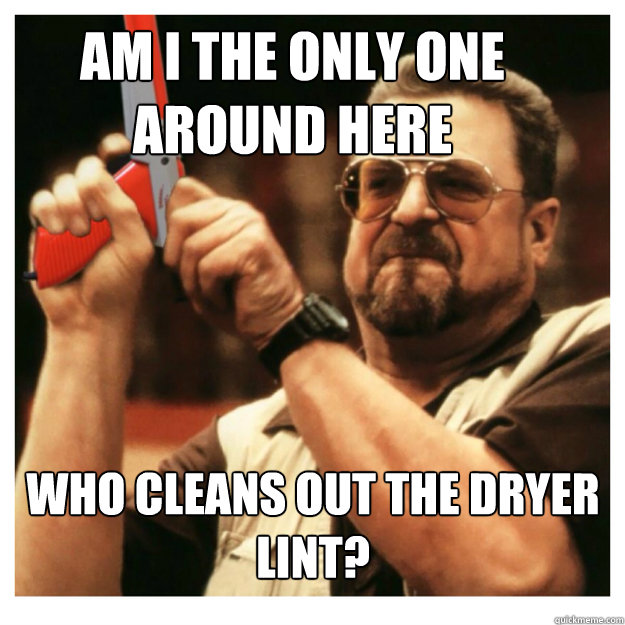 Am i the only one around here who cleans out the dryer lint?  - Am i the only one around here who cleans out the dryer lint?   John Goodman