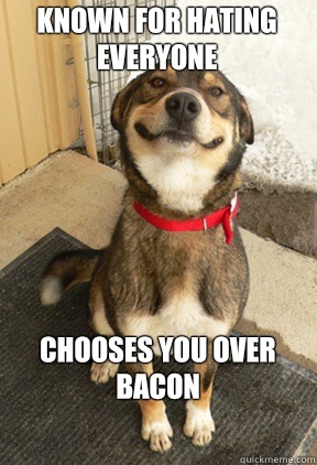 Known for hating everyone Chooses you over bacon 
  Good Dog Greg