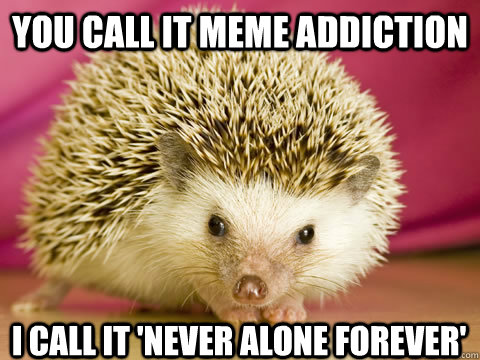 You call it meme addiction I call it 'Never Alone Forever'  Intervention Porcupine