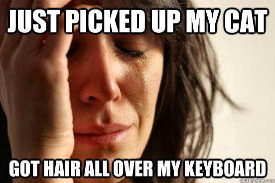 just picked up my cat Got hair all over my keyboard  First World Problems