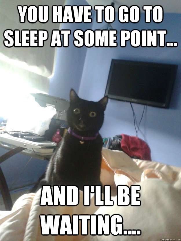 You have to go to sleep at some point... and I'll be waiting....  overly attached cat