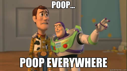 Poop... poop everywhere  Everywhere