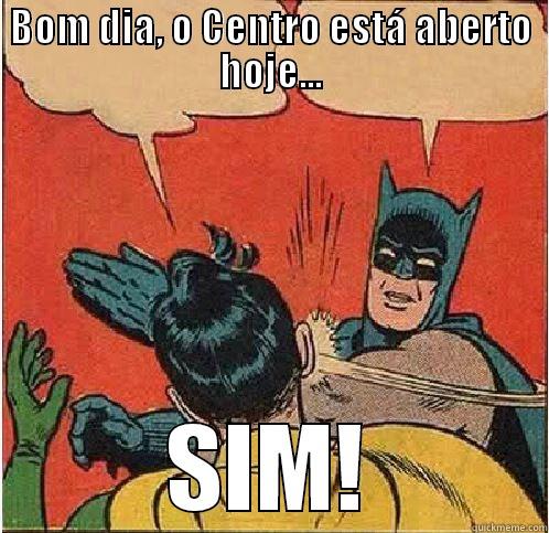 BOM DIA, O CENTRO ESTÁ ABERTO HOJE... SIM! Batman Slapping Robin
