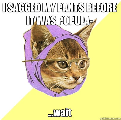 I SAGGED MY PANTS BEFORE IT WAS POPULA- ...wait  Hipster Kitty