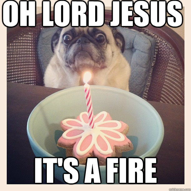 Oh lord jesus it's a fire - Oh lord jesus it's a fire  ermahgerd fire pug