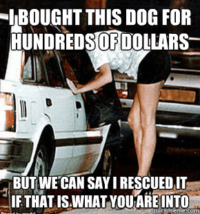 I bought this dog for hundreds of dollars But we can say I rescued it if that is what you are into  FB karma whore