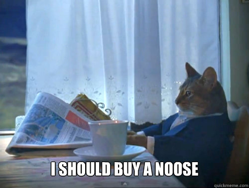  I should buy a noose  The One Percent Cat