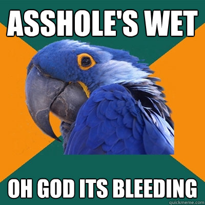 Asshole's wet oh god its bleeding  Paranoid Parrot