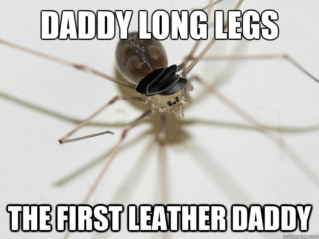 Daddy long legs the first leather daddy  Leather Daddy Long Legs