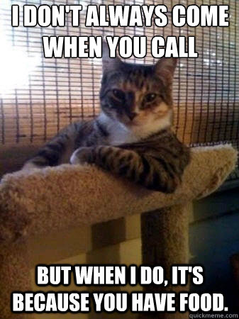 i don't always come when you call but when i do, it's because you have food.  The Most Interesting Cat in the World