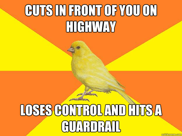 cuts in front of you on highway loses control and hits a guardrail  Instant Karma Canary