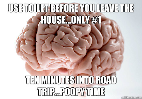 Use toilet before you leave the house...only #1 Ten minutes into road trip...poopy time  Scumbag Brain