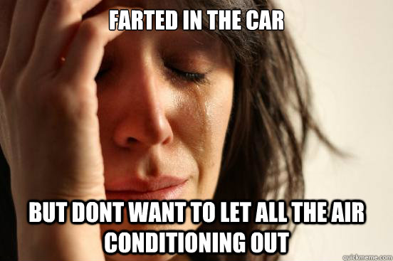 farted in the car but dont want to let all the air conditioning out  First World Problems