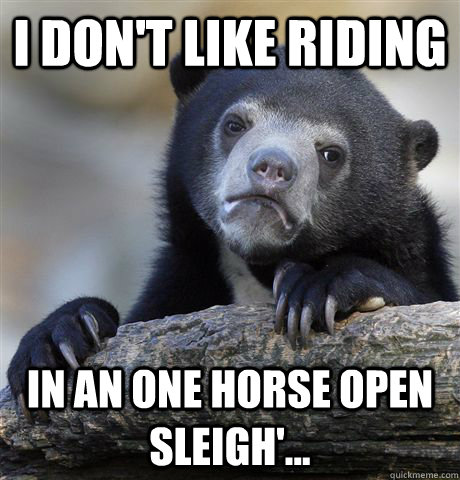 I don't like riding In an one horse open sleigh'...  Confession Bear
