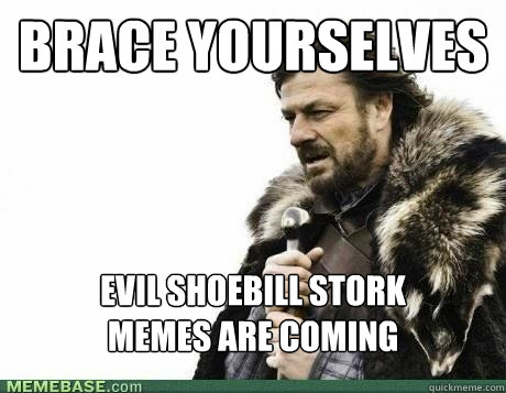 BRACE YOURSELVES Evil Shoebill Stork
Memes are Coming - BRACE YOURSELVES Evil Shoebill Stork
Memes are Coming  Misc