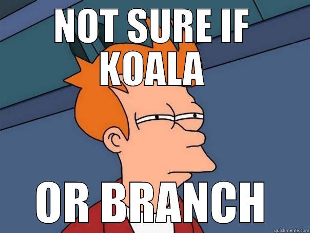 NOT SURE IF KOALA OR BRANCH Futurama Fry