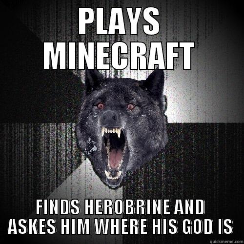 PLAYS MINECRAFT FINDS HEROBRINE AND ASKES HIM WHERE HIS GOD IS Insanity Wolf