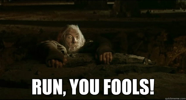  Run, you fools! -  Run, you fools!  Gandalf