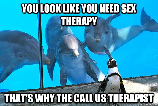 You look like you need sex therapy That's why the call us therapist  Sexual Innuendo Dolphins