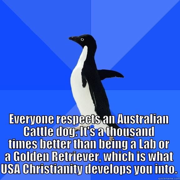  EVERYONE RESPECTS AN AUSTRALIAN CATTLE DOG. IT'S A THOUSAND TIMES BETTER THAN BEING A LAB OR A GOLDEN RETRIEVER, WHICH IS WHAT USA CHRISTIANITY DEVELOPS YOU INTO. Socially Awkward Penguin