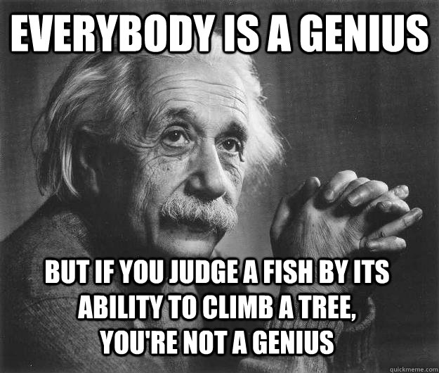 Everybody is a genius But if you judge a fish by its ability to climb a tree, you're not a genius  - Everybody is a genius But if you judge a fish by its ability to climb a tree, you're not a genius   Einstein is disappoint