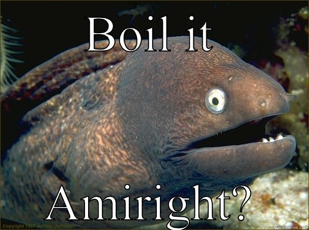 BOIL IT AMIRIGHT? Bad Joke Eel
