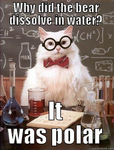 WHY DID THE BEAR DISSOLVE IN WATER? IT WAS POLAR Chemistry Cat