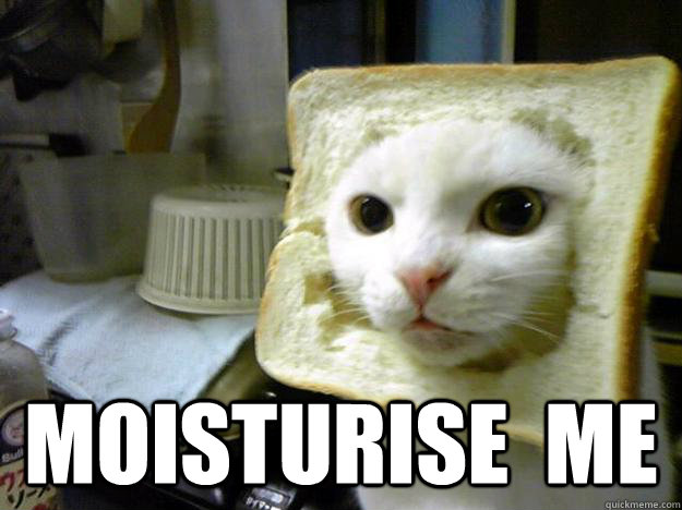  MOISTURISE  ME -  MOISTURISE  ME  Bread Cat