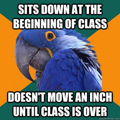 Sits down at the beginning of class doesn't move an inch until class is over  Paranoid Parrot