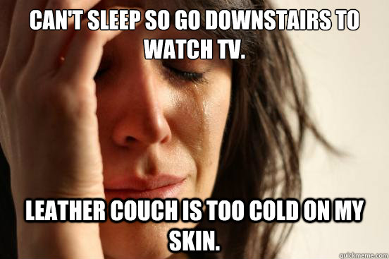 Can't sleep so go downstairs to watch tv. Leather couch is too cold on my skin.  First World Problems