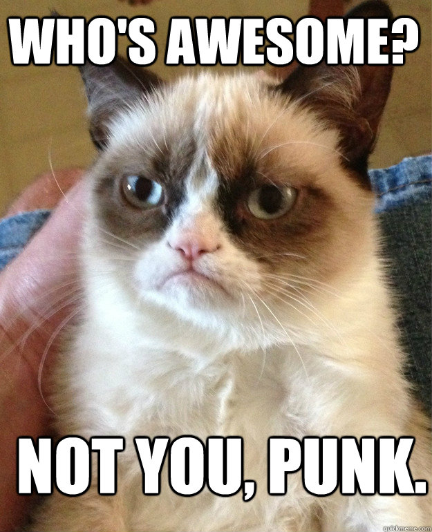 Who's awesome? Not you, punk. - Who's awesome? Not you, punk.  cat had fun once