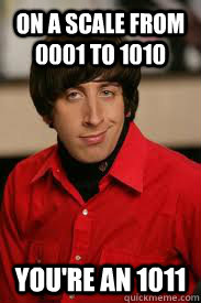 On a scale from 0001 to 1010 You're an 1011  Howard Pick-Up Line