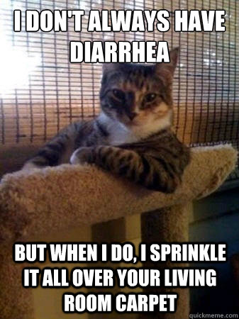 I don't always have diarrhea but when I do, I sprinkle it all over your living room carpet  The Most Interesting Cat in the World