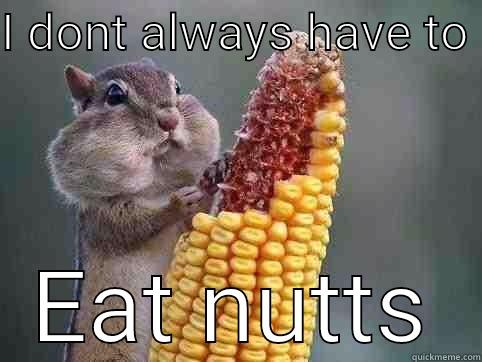 I DONT ALWAYS HAVE TO  EAT NUTTS Misc