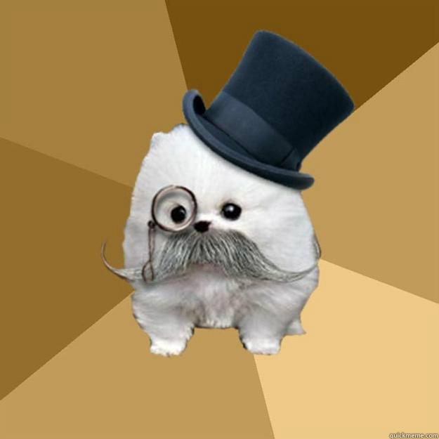    Philanthropist Pomeranian