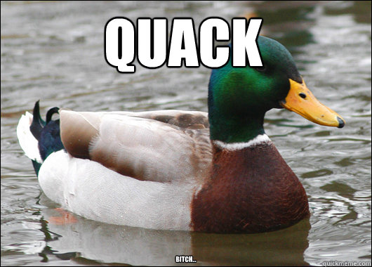 Quack Bitch...      Actual Advice Mallard