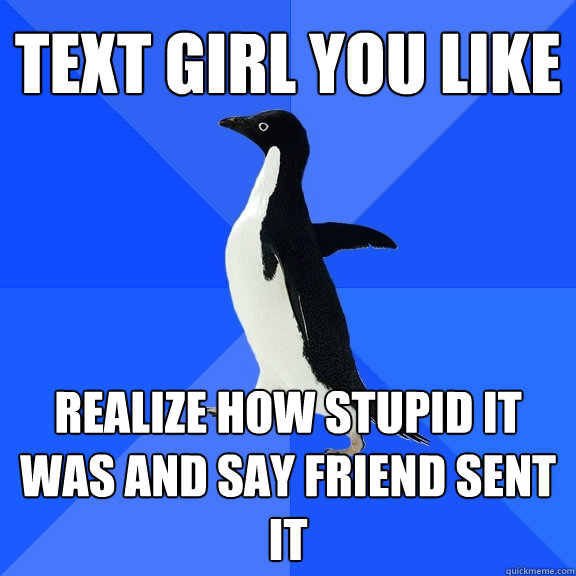 Text girl you like realize how stupid it was and say friend sent it  Socially Awkward Penguin
