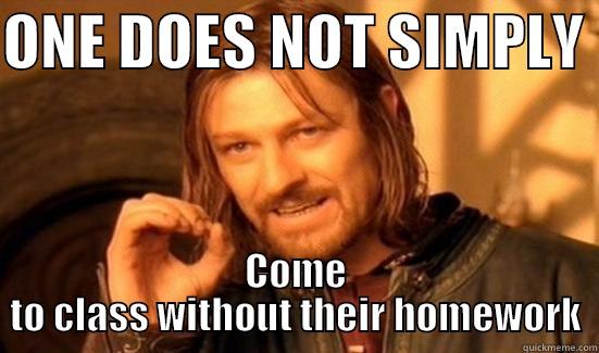 ONE DOES NOT SIMPLY  COME TO CLASS WITHOUT THEIR HOMEWORK Boromir