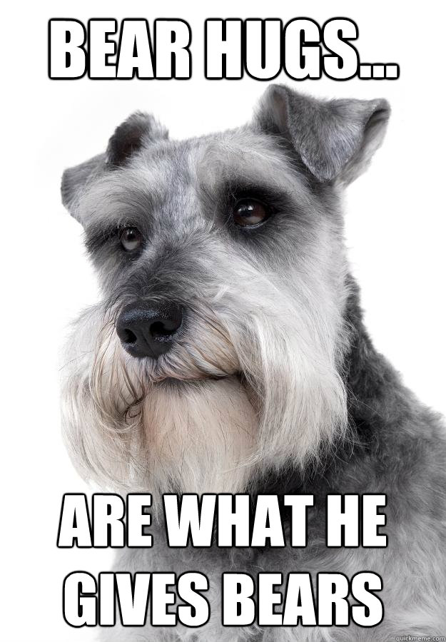 Bear hugs... are what he gives bears  The Most Interesting Dog in the World