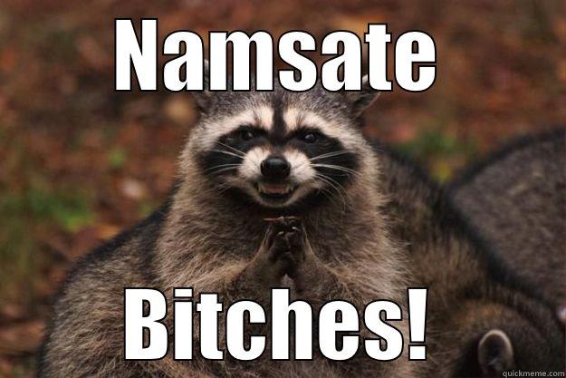 Namaste bitches - NAMSATE BITCHES! Evil Plotting Raccoon